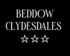 Beddows