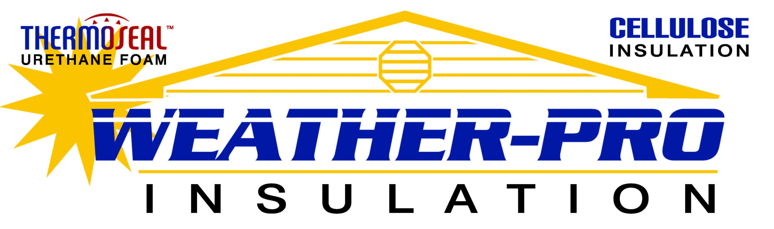 WeatherPro Logo