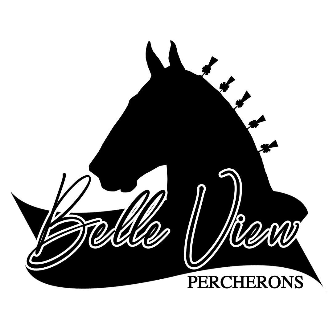 Belle View Percherons