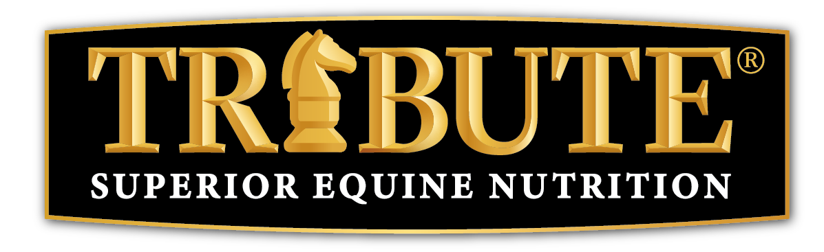 Tribute Logo